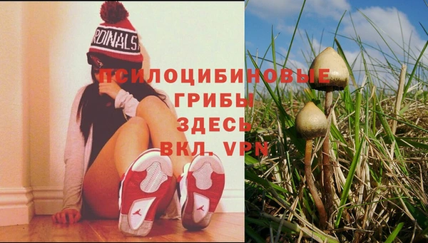кокаин премиум Зерноград