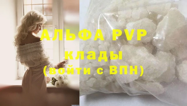 ECSTASY Алзамай