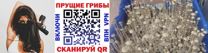 Псилоцибиновые грибы мухоморы  Сельцо 